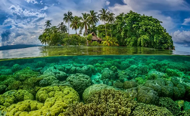 Solomon Adaları Aviabilet
