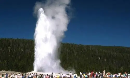 vecchi amici fedeli geyser parco nazionale di Yellowstone