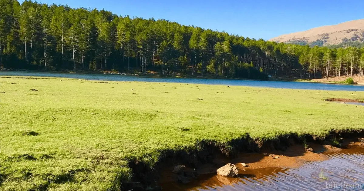 Schrei-Plateau