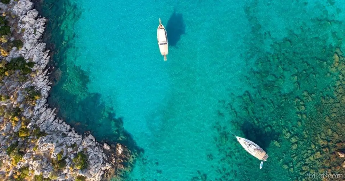 ενυδρείο σκοτεινό