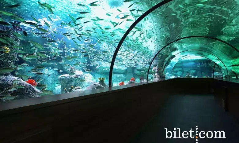 aquarium d'Aqua Vega
