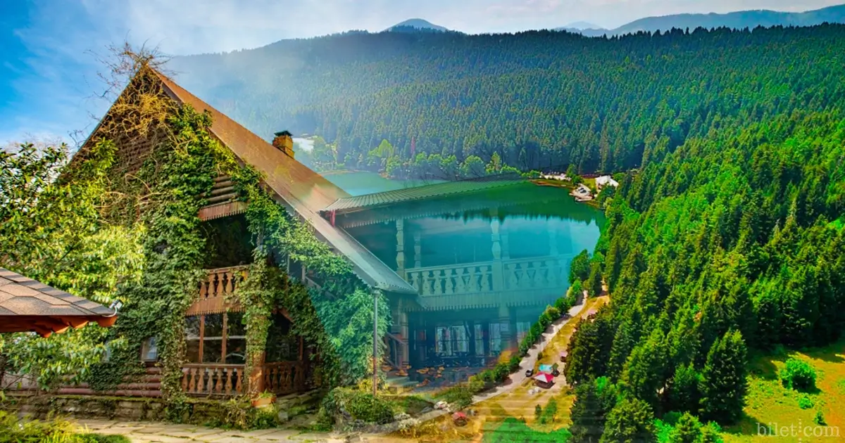 ξενοδοχεία Artvin