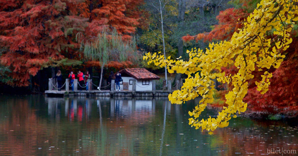 atatürk arboretumu
