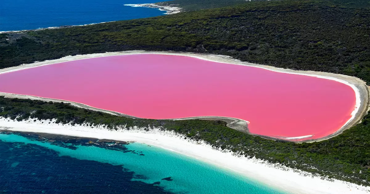 avusturalya pink lake pembe goller
