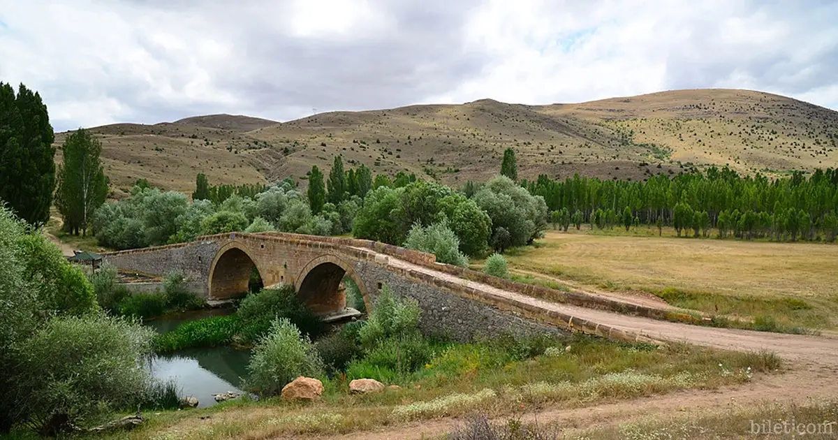 bayburt korgan köprüsü