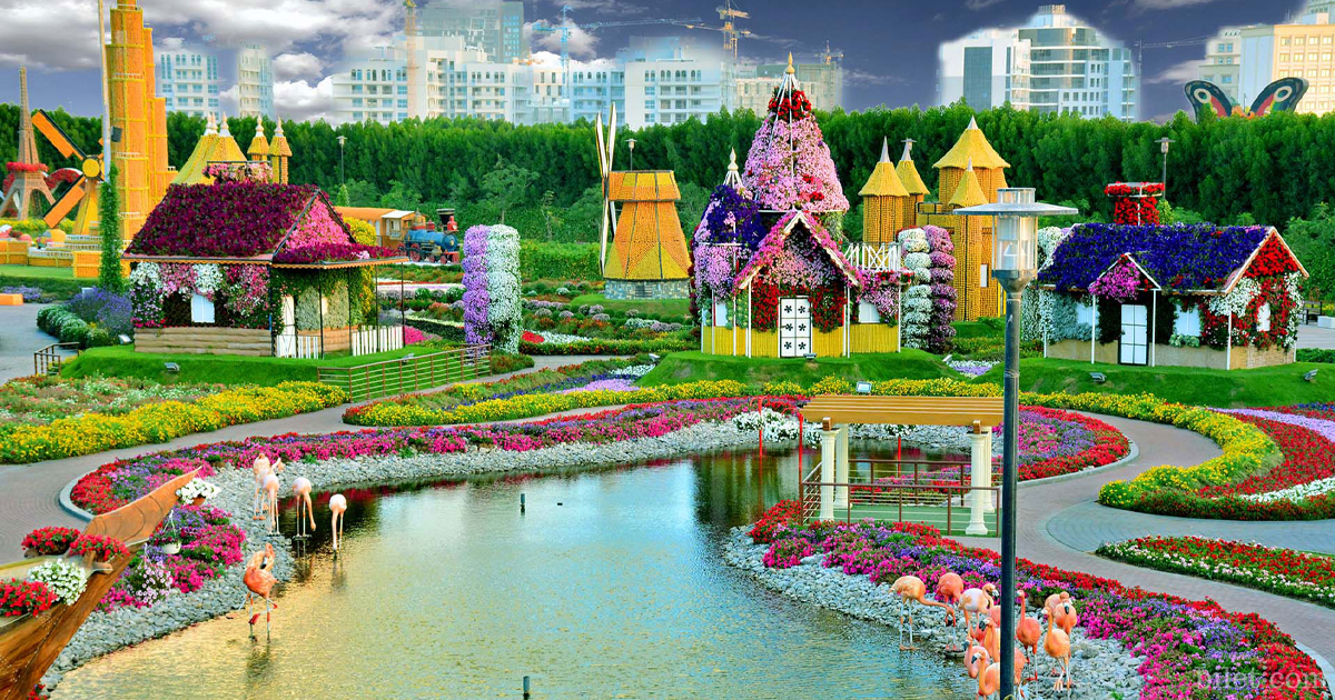 dubai miracle garden