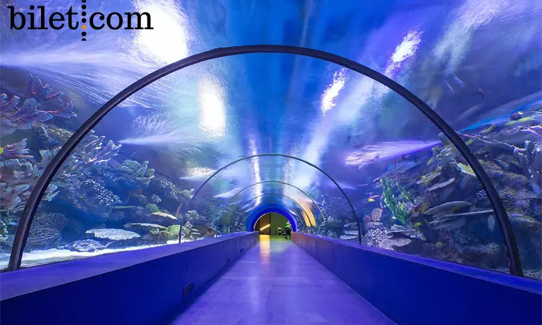 aquarium d'Emaar