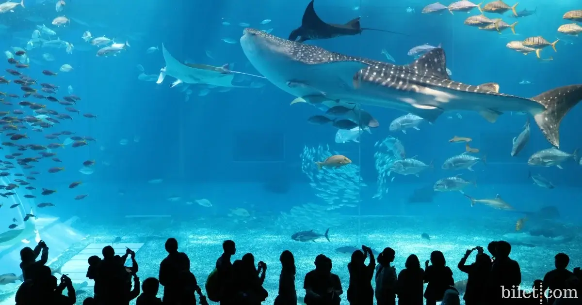 Aquarium Emaar