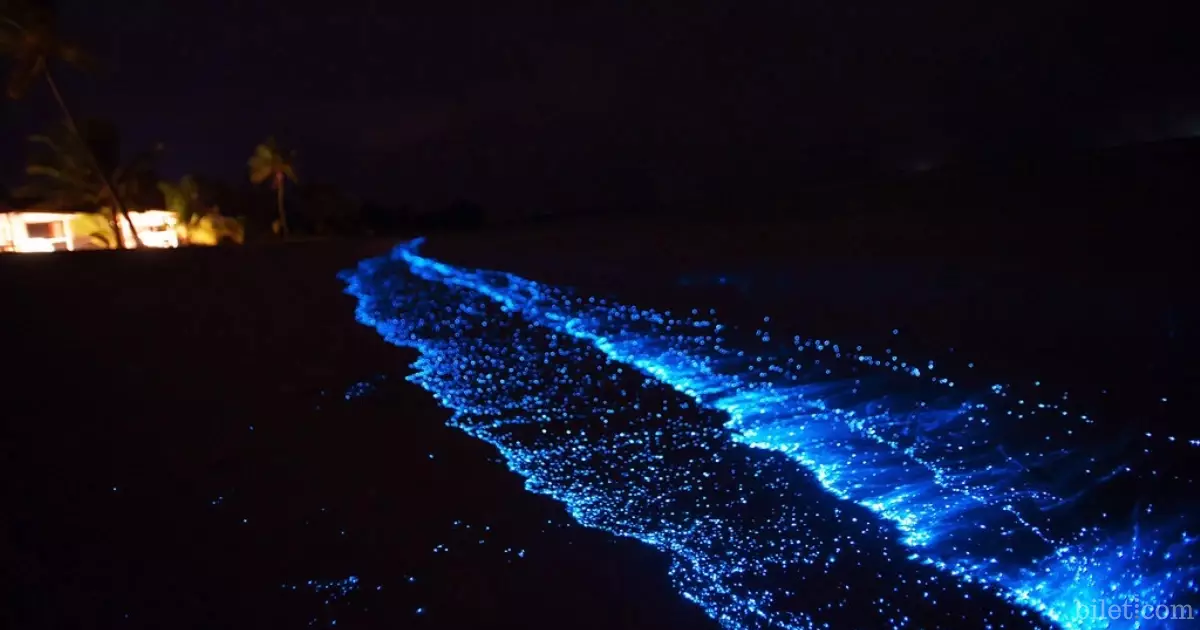 florida cocoa beach ışıklı deniz