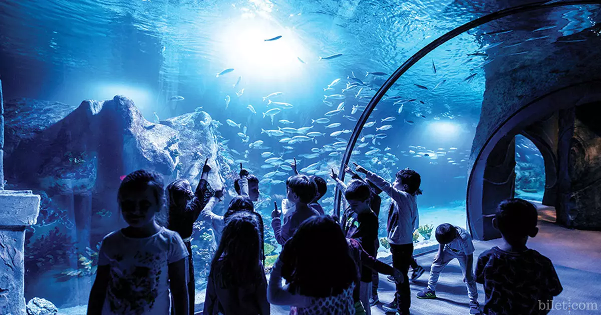 Фантастический аквариум в Измире