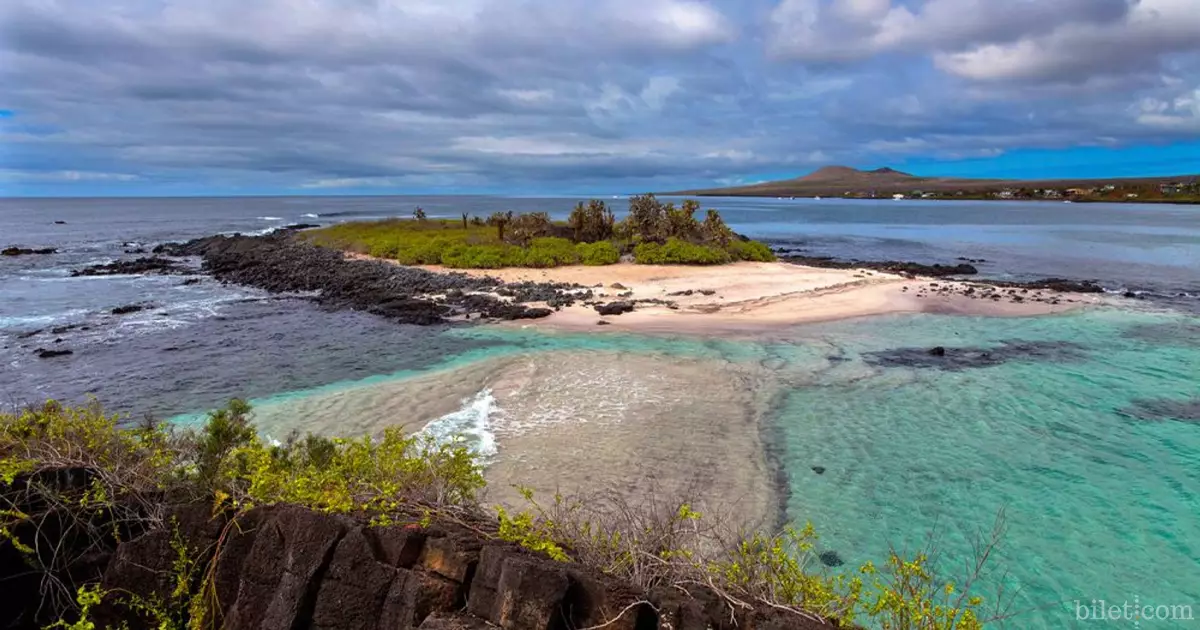 galapagos adaları ekvador