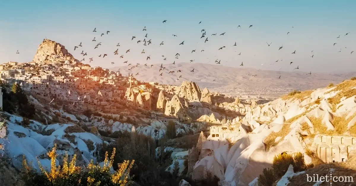 Pigeon Valley
