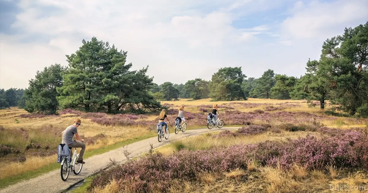 how many veluwe