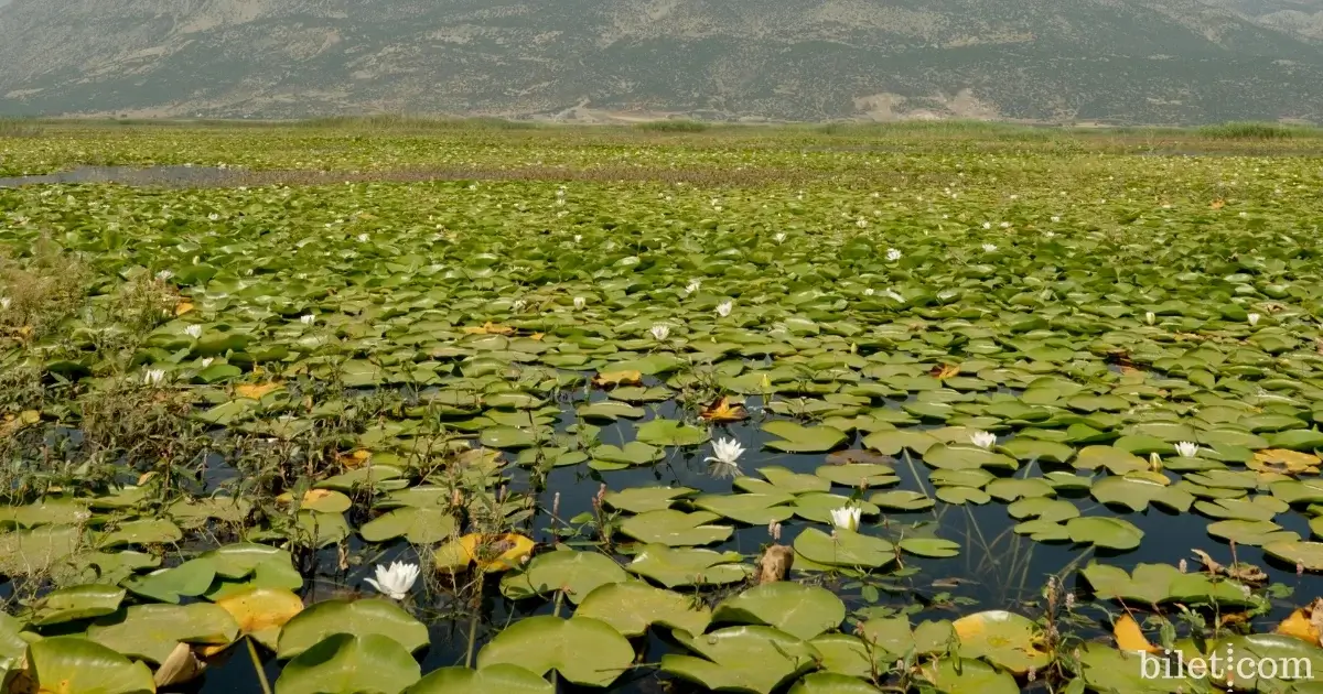 Φωτισμένη Λίμνη Ντενιζλί