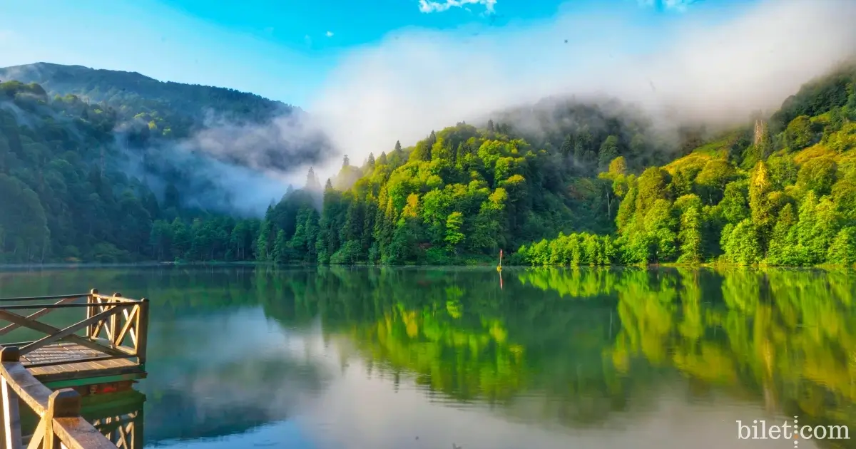 Artvin
