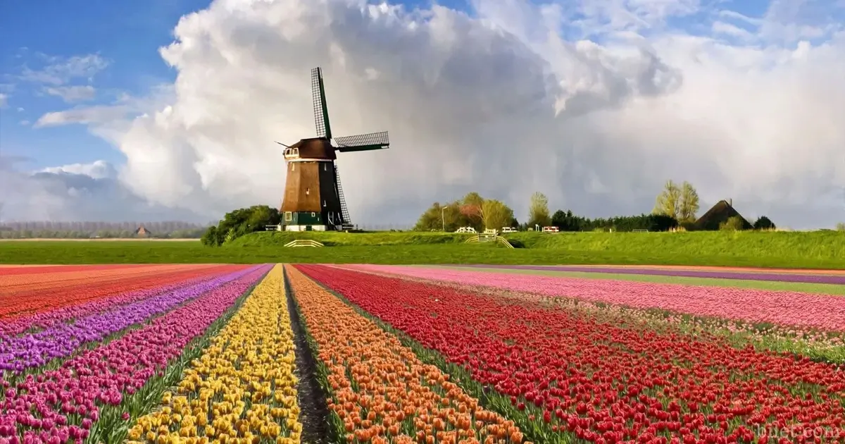 keukenhof