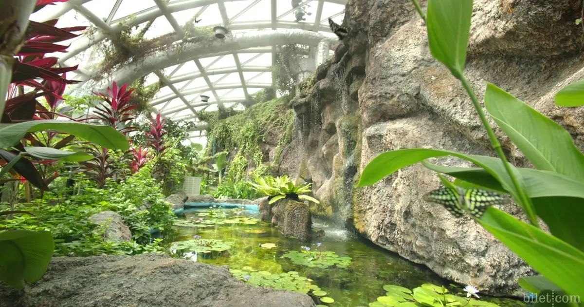 konya tropical butterfly garden