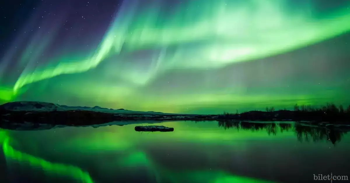 Where to see the northern lights best?