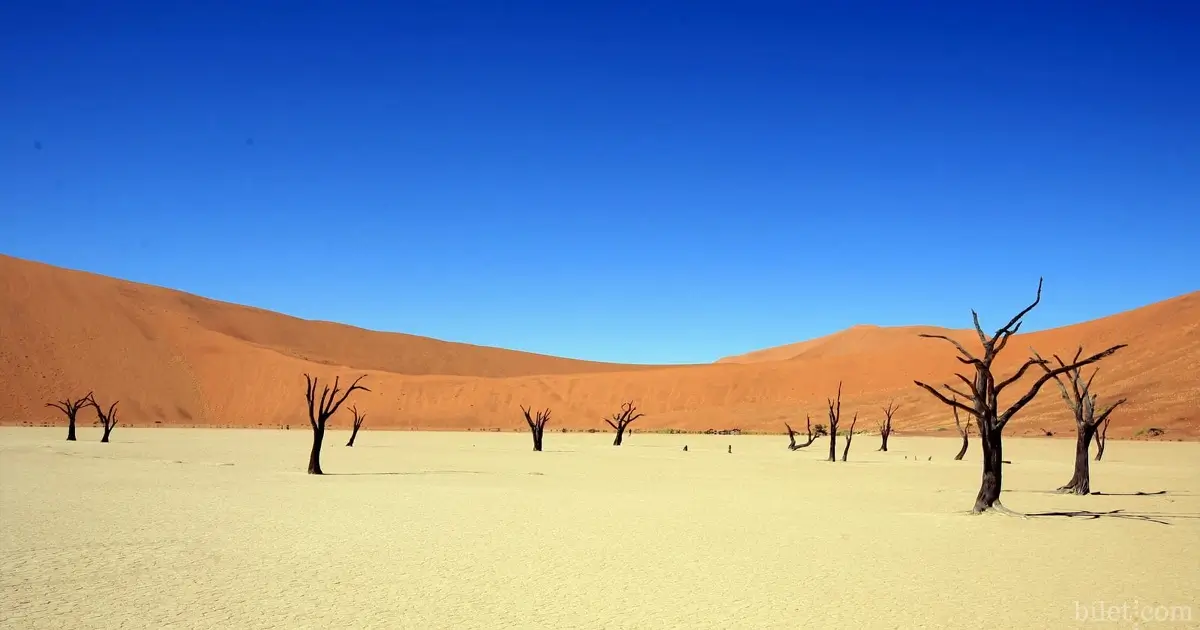 namib çölü namibya