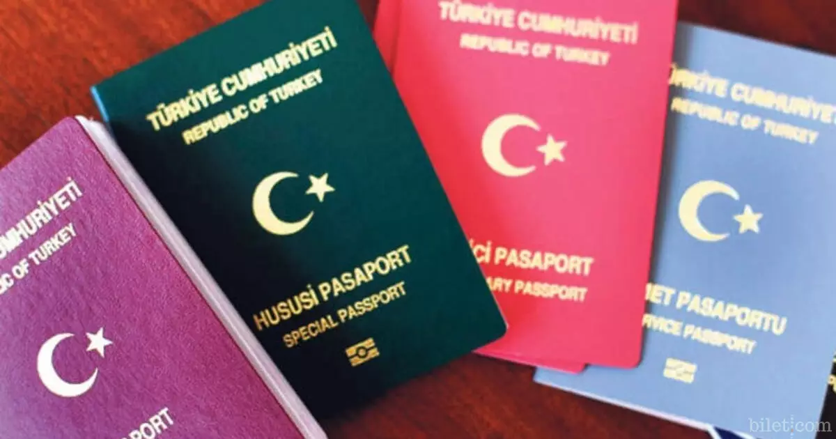 Passport types are issued to whom according to their colours.