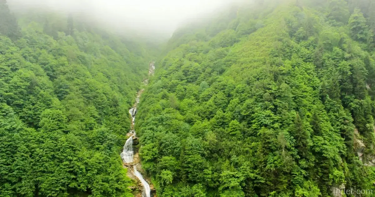 Bridal veil waterfall