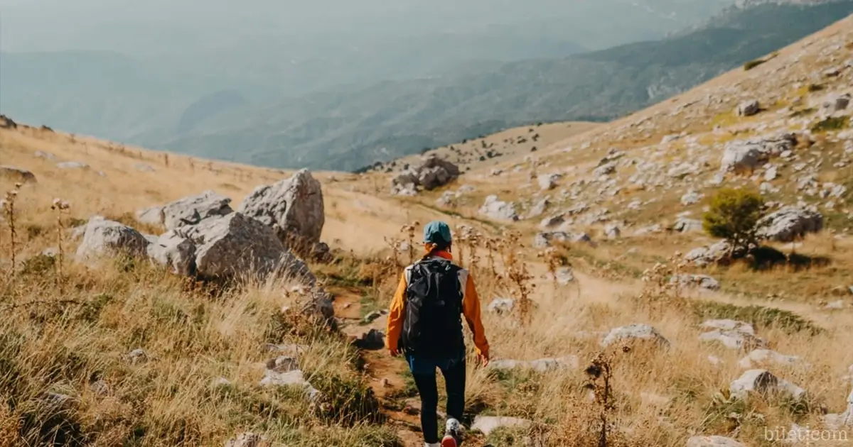 δραστηριότητες sakarya