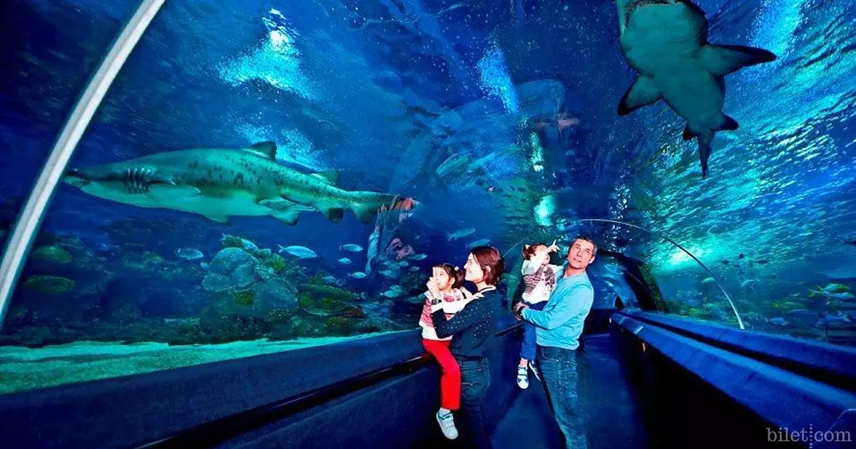 aquarium de la vie marine