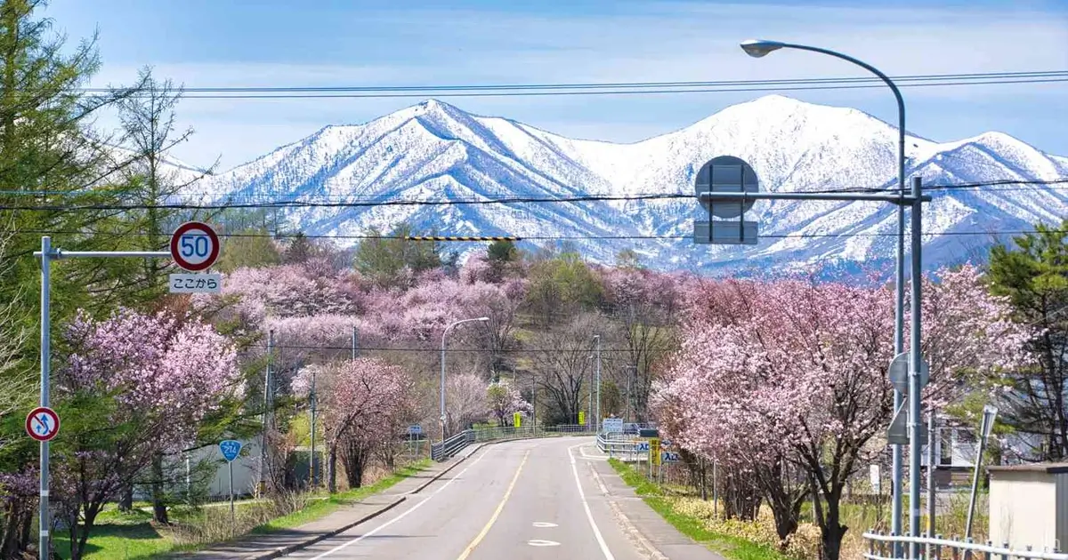 japonya hokkaido