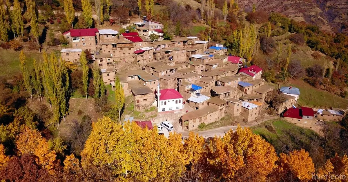 tarihi bitlis evleri