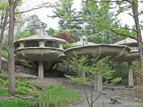 the mushroom house abd
