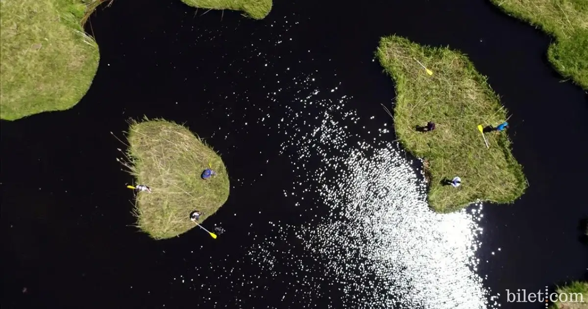 sediment floating islands