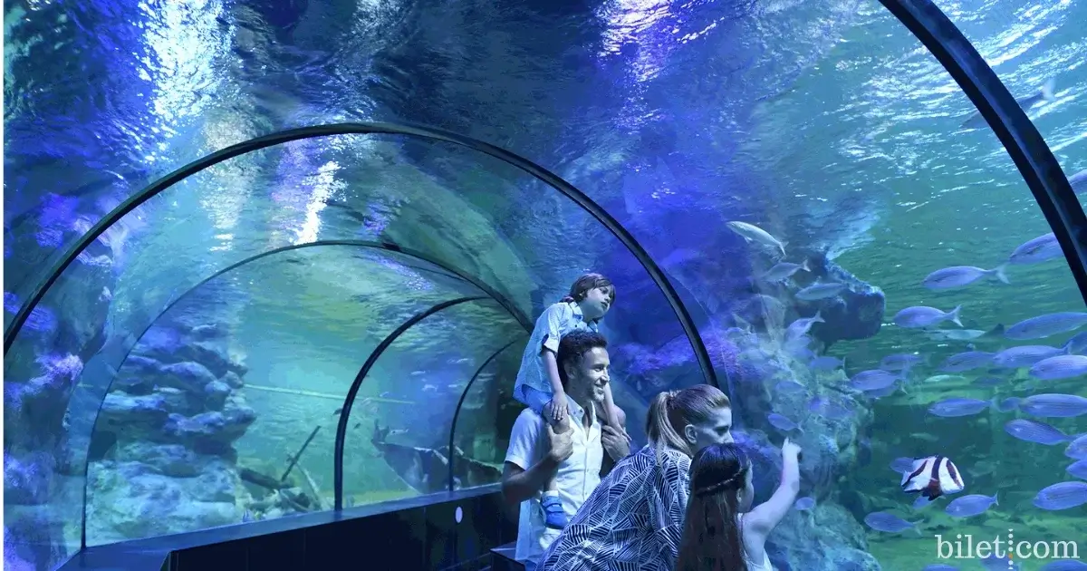 aquarium viasea