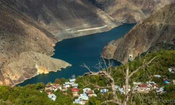 Artvin’de Nerede Kalınır? Artvin Konaklama Rehberi