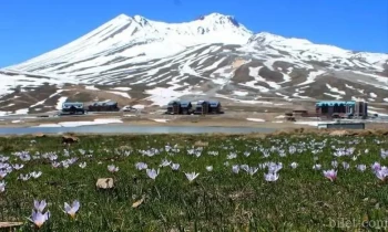 Bingöl’de Nerede Kalınır? Bingöl Konaklama Rehberi