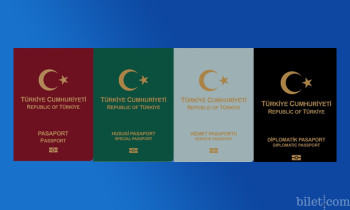 Pasaport Türleri ve Renkleri, Kimlere Verilir?