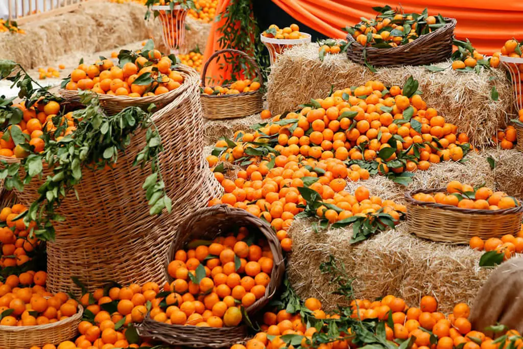 Festival de la mandarina de Bodrum