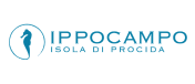 Ippocampo