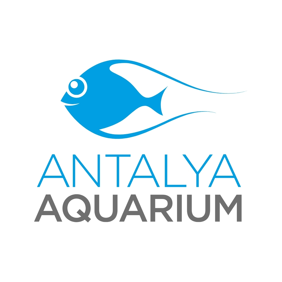 Antalya Aquarium