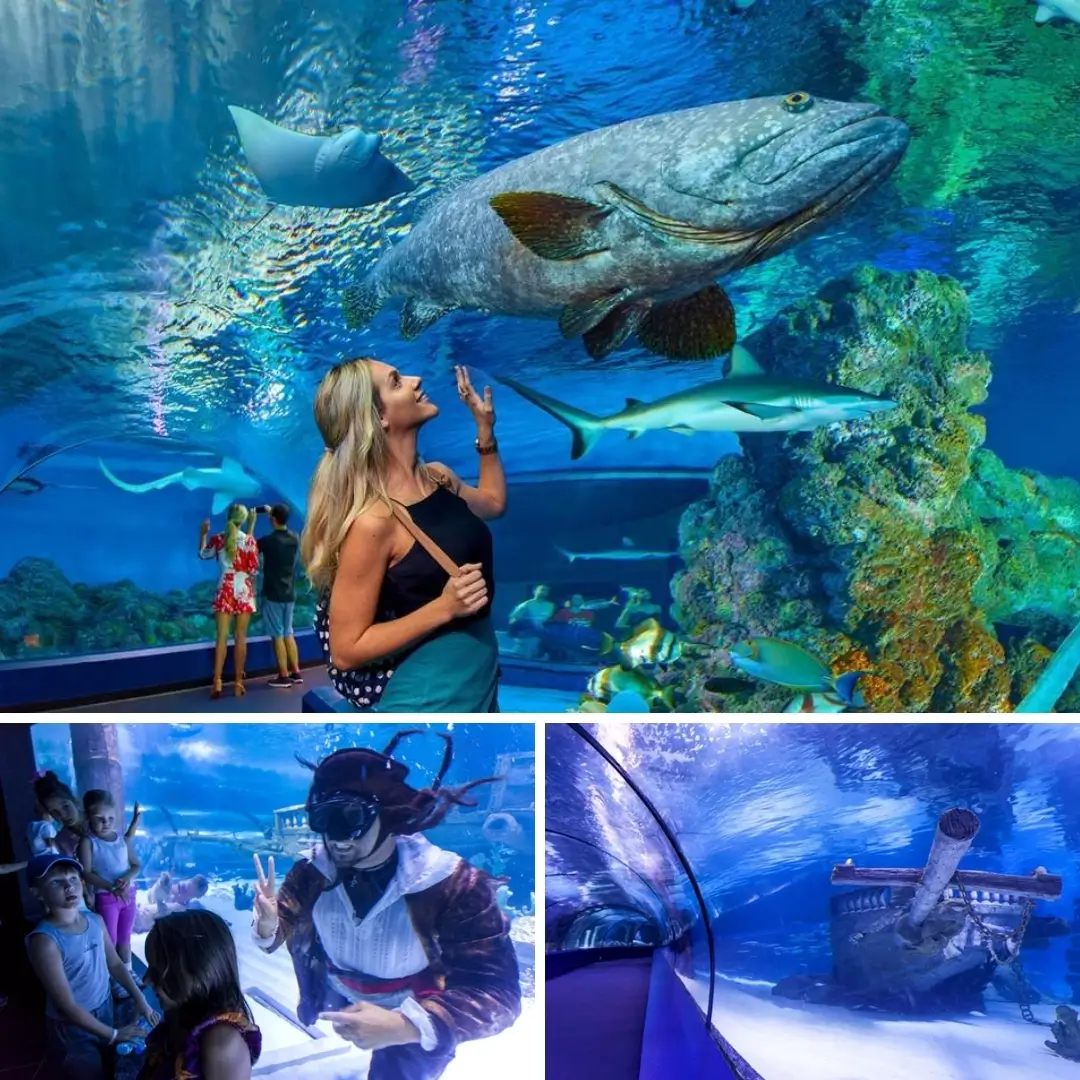 Antalya-Aquarium - 0