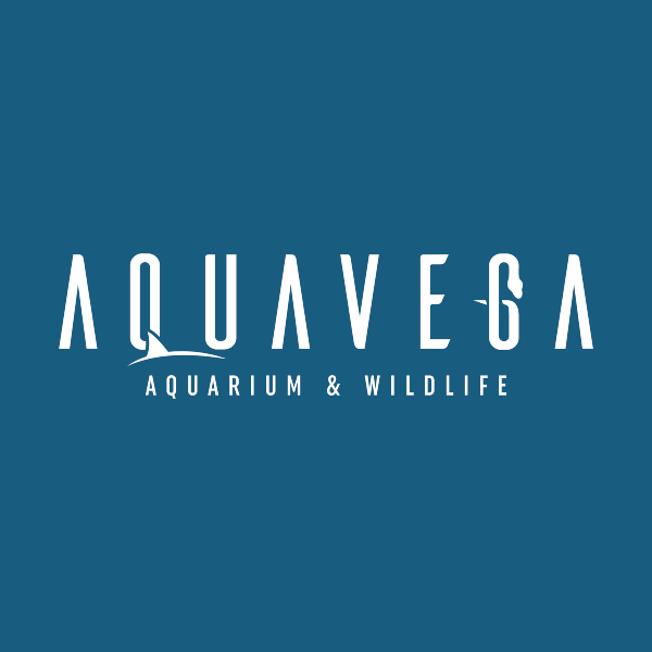 Aqua Vega Akvaryum