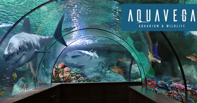 Aqua Vega akvarium Bilet - 2