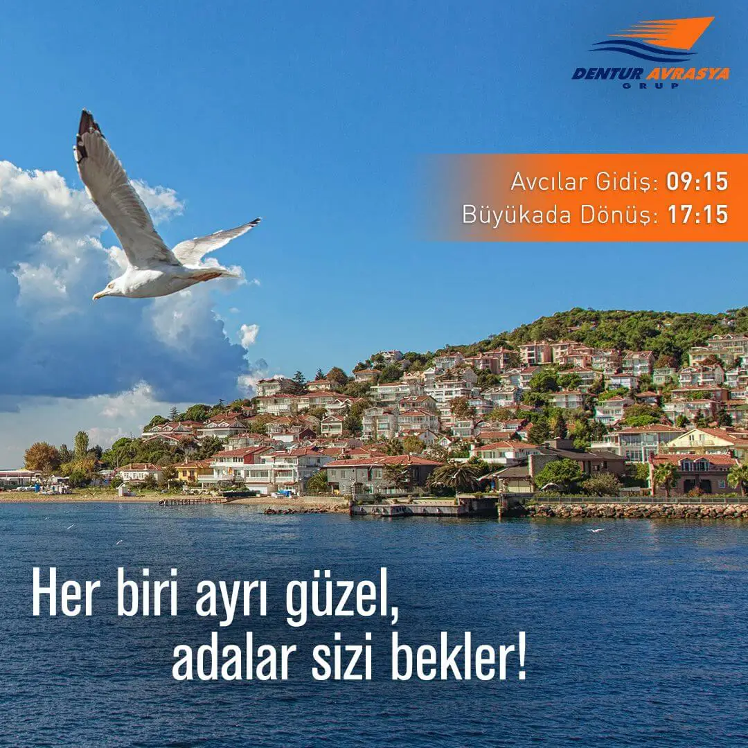 Biglietto Avcılar - Biglietto per la crociera tra le isole - 2