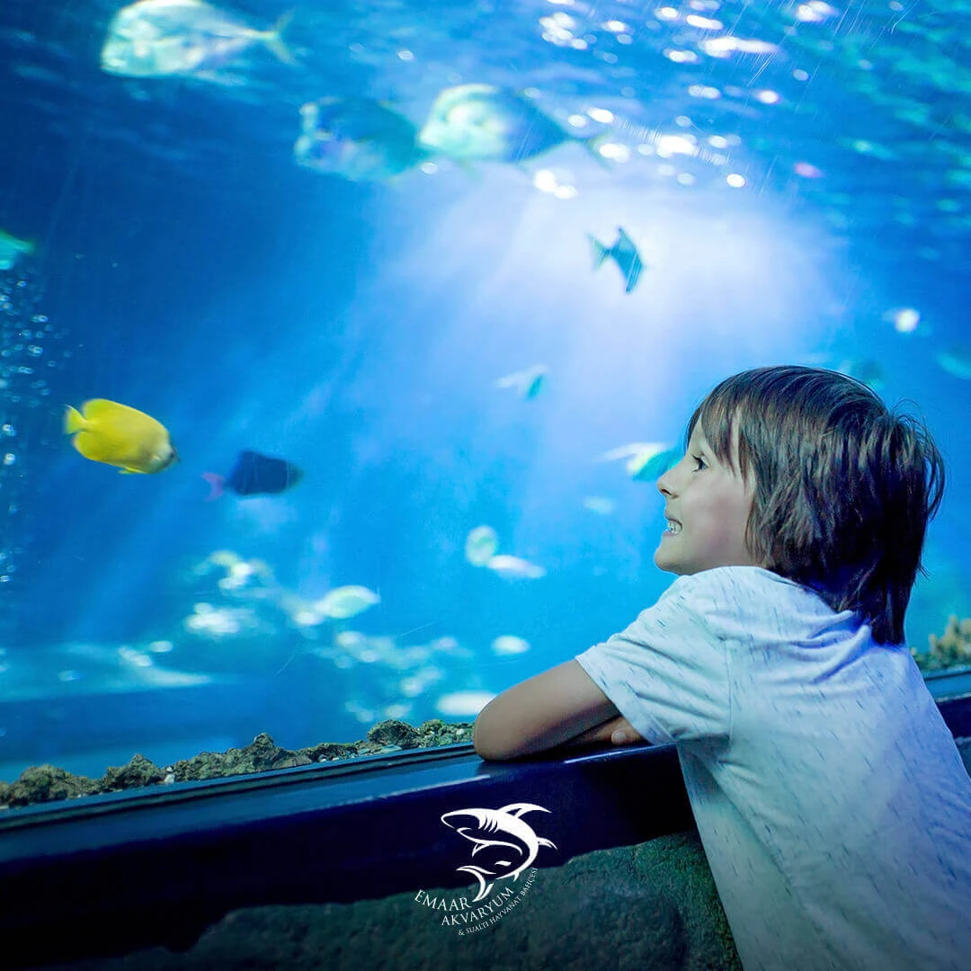 Emaar-Aquarium Ticket – 20
