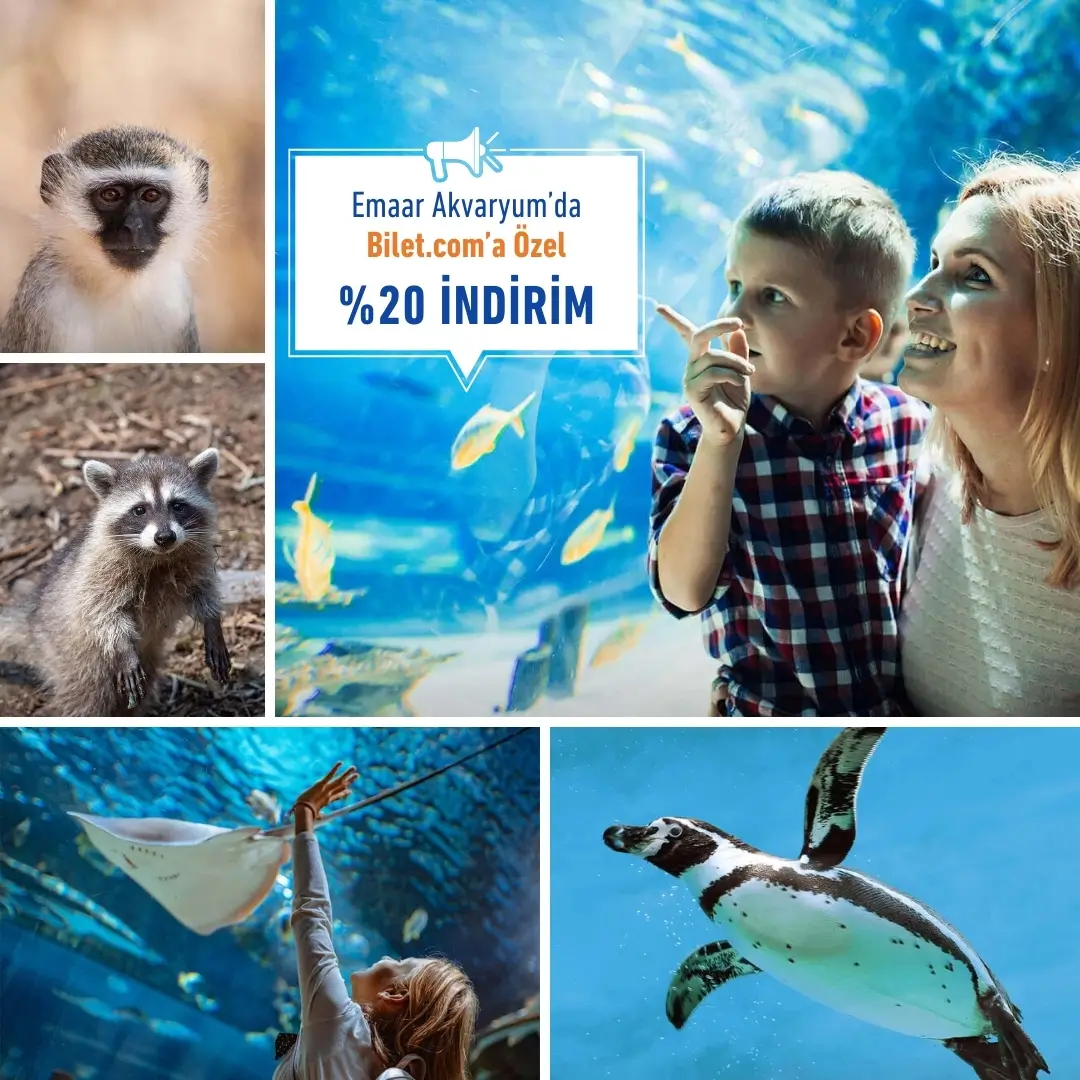 Emaar аквариумы - 0