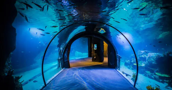 Funtastic Aquarium İzmir Bileti - 1