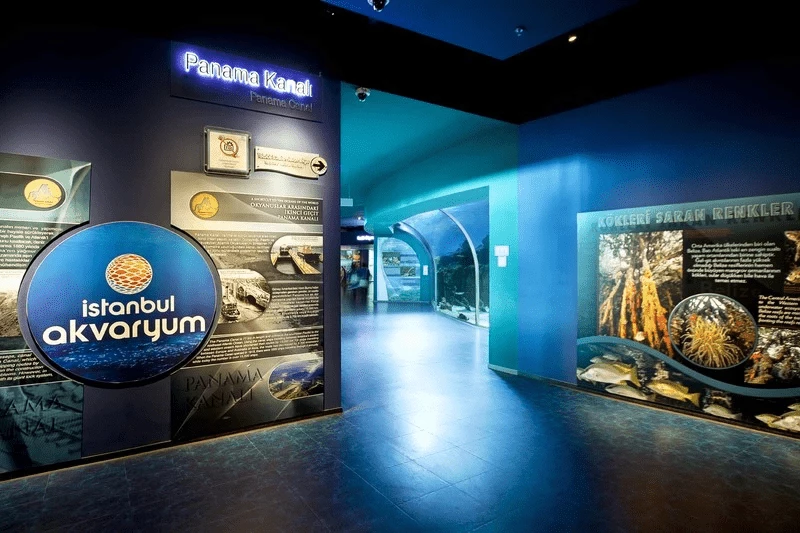 Acuario de Estambul y exposición de Tutankamón billete - 2