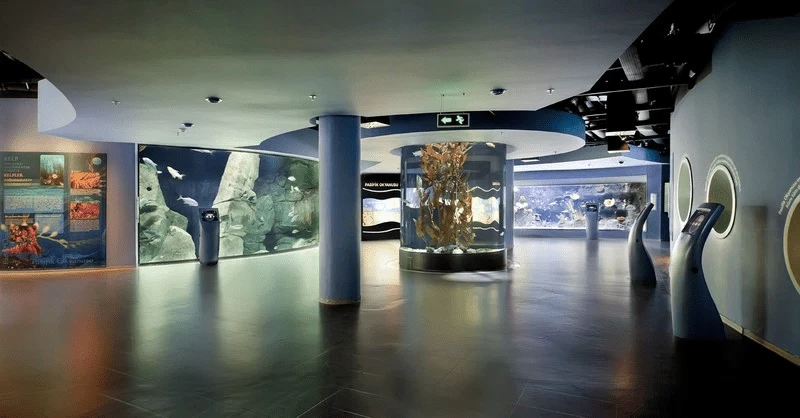 Istanbul Aquarium & Tutankhamun Exhibition Ticket - 6
