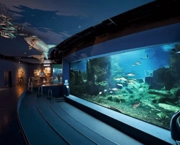 Стамбульский аквариум и выставка Тутанхамона Билет - 3