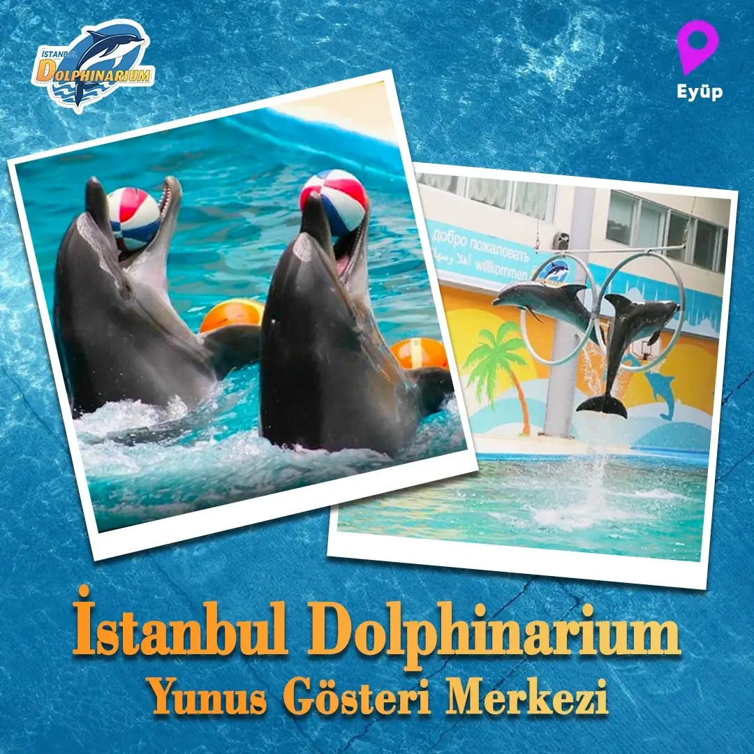 Istanbul Dolphinarium
