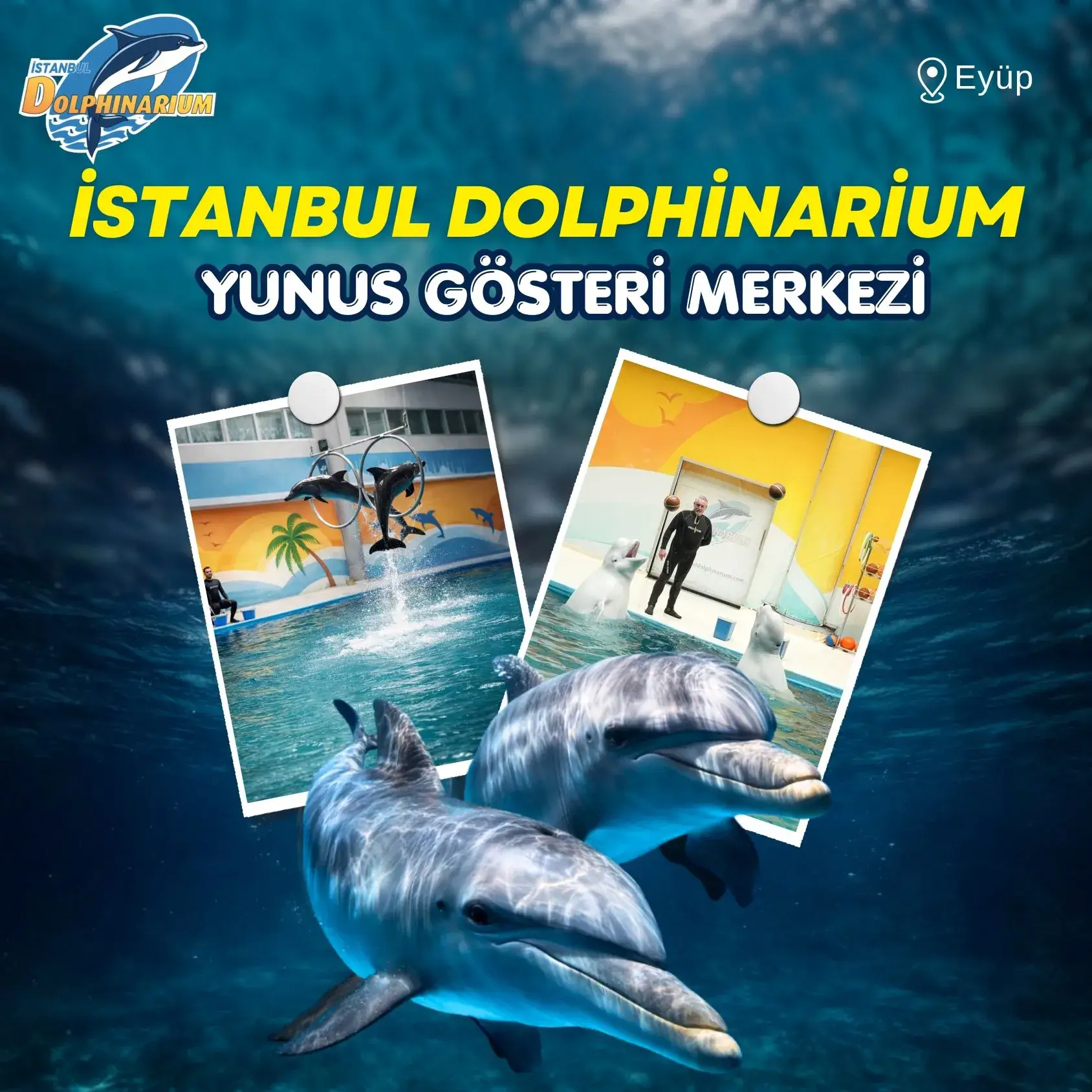 İstanbul Dolphinarium